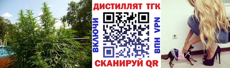 ТГК вейп с тгк Андреаполь